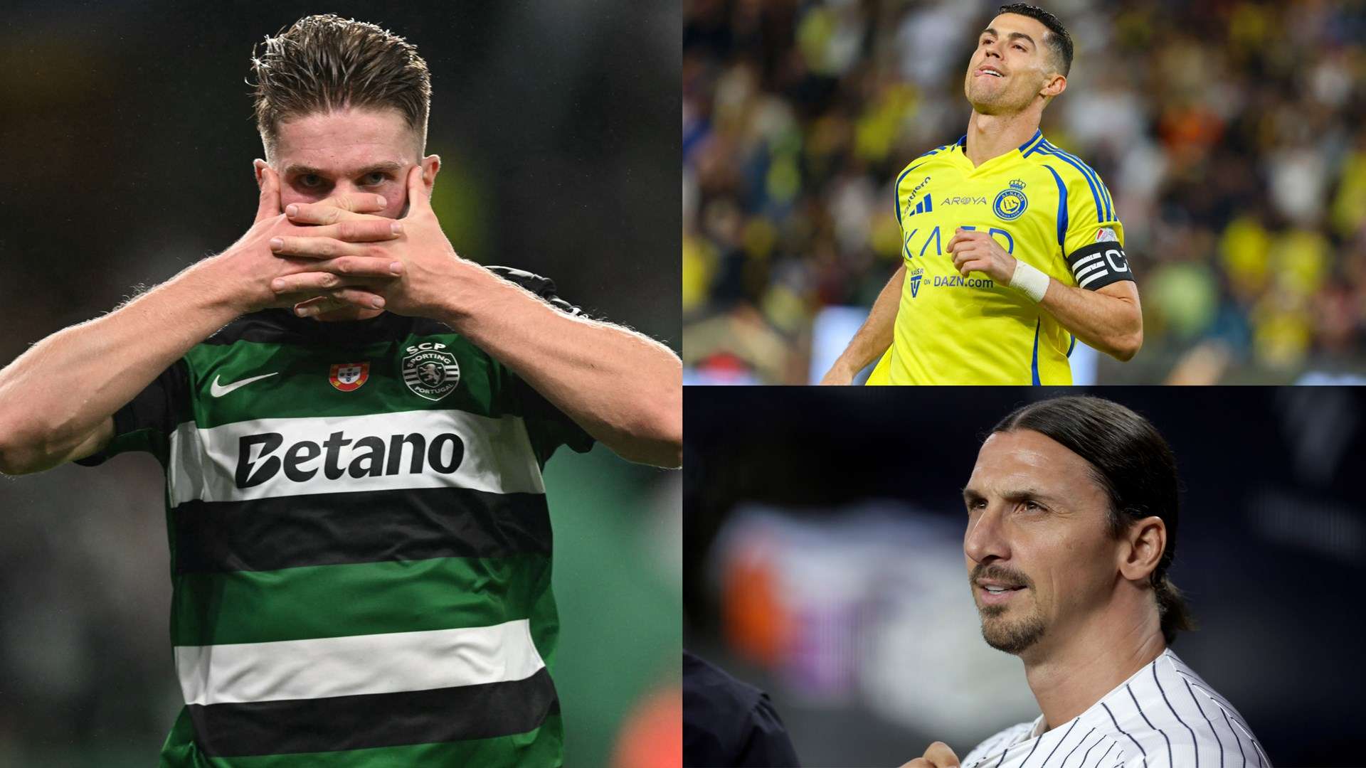 力同样不容 力同样不容