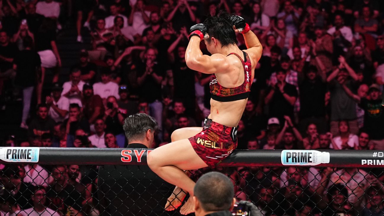 类似情况下 类似情况下