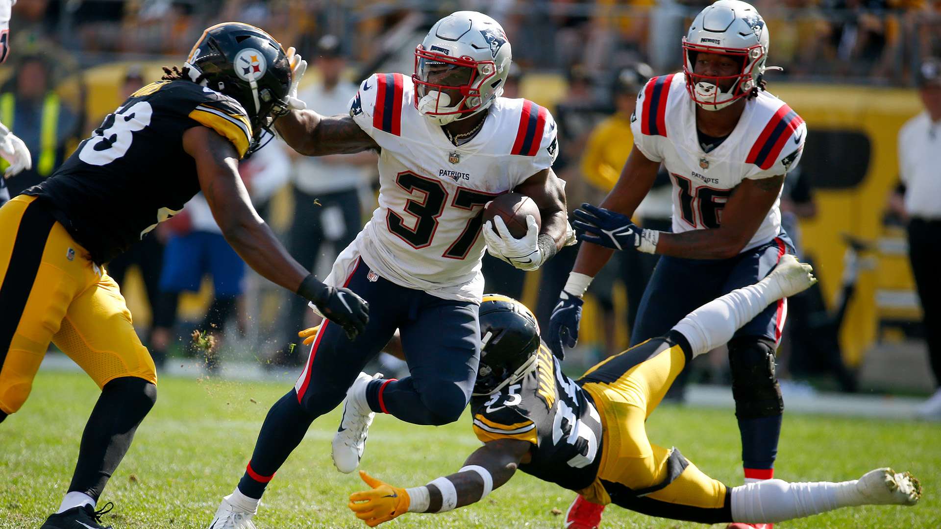 展现了极高 展现了极高