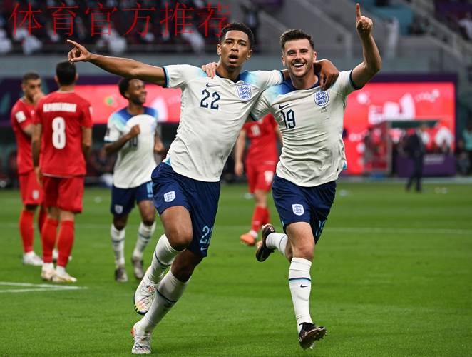 英格兰球迷抗议世界杯高票价致信英足总